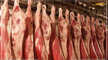 تخالف التوقعات.. أسعار اللحوم اليوم الاثنين 29 سبتمبر 2025 في الأسواق تطور مفاجئ في سعر الكيلو 1